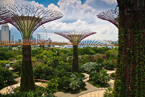 Ngày 04: Singapore - Tp. Hồ Chí Minh
